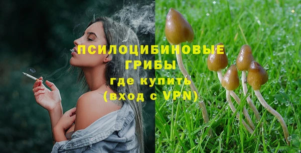 бошки Абаза